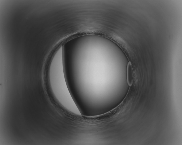 X0000089850680200706281021