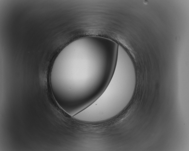 X0000089850681200706281021