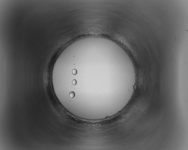 X0000089850683200706281021