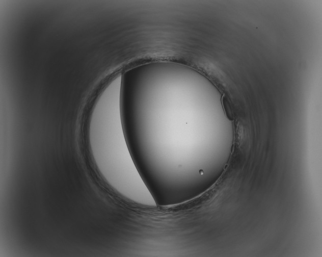 X0000089850684200706281021
