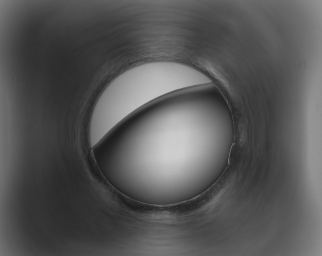 X0000089850685200706281021