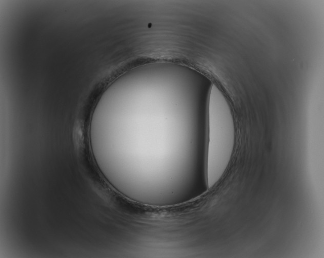 X0000089850688200706281021