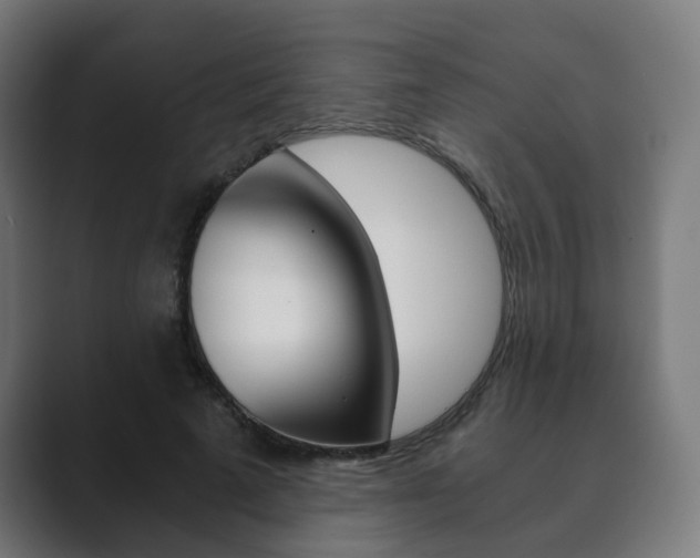 X0000089850689200706281021