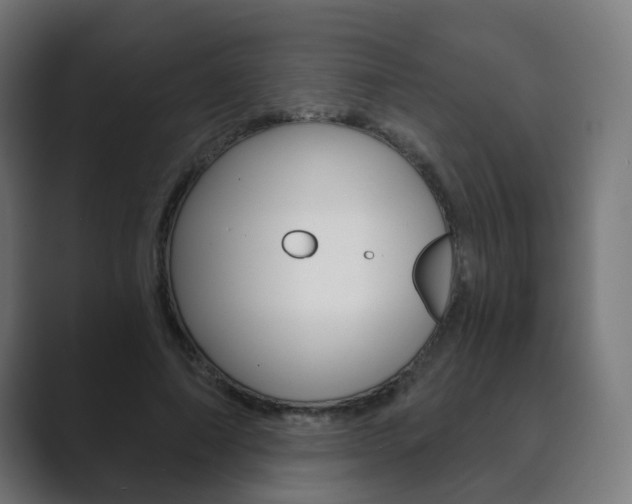 X0000089850690200706281021