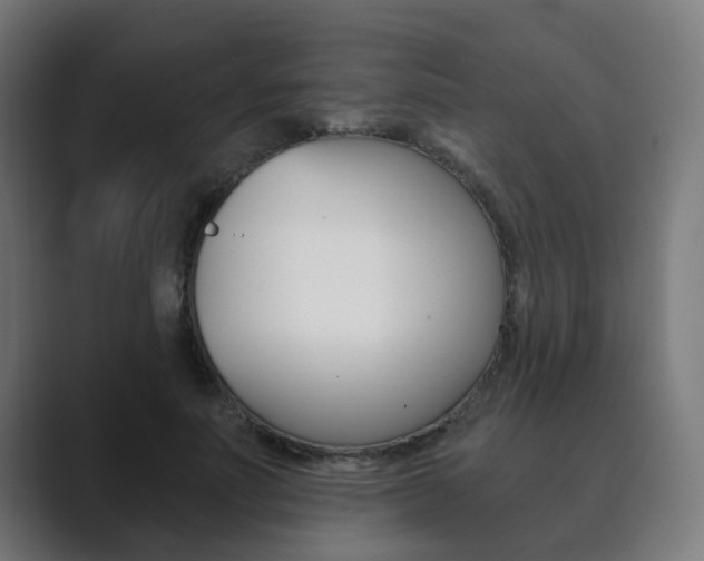 X0000089850691200706281021