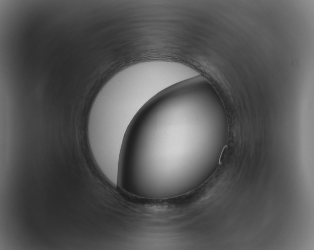 X0000089850693200706281021