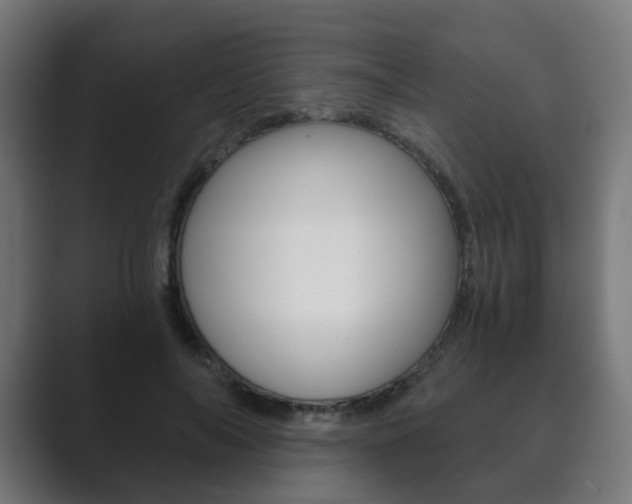 X0000089850694200706281021