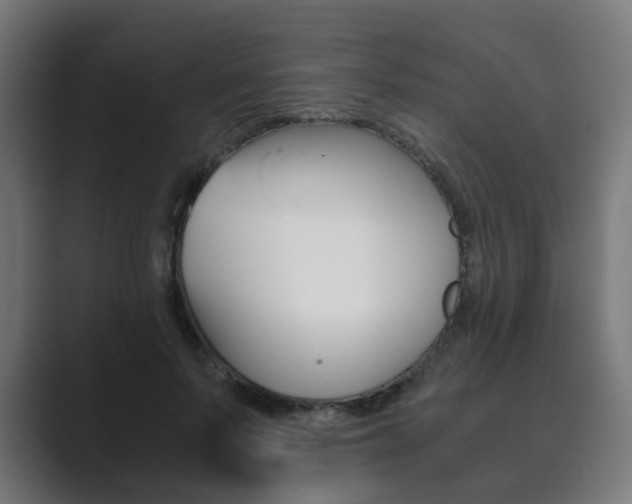 X0000089850695200706281021