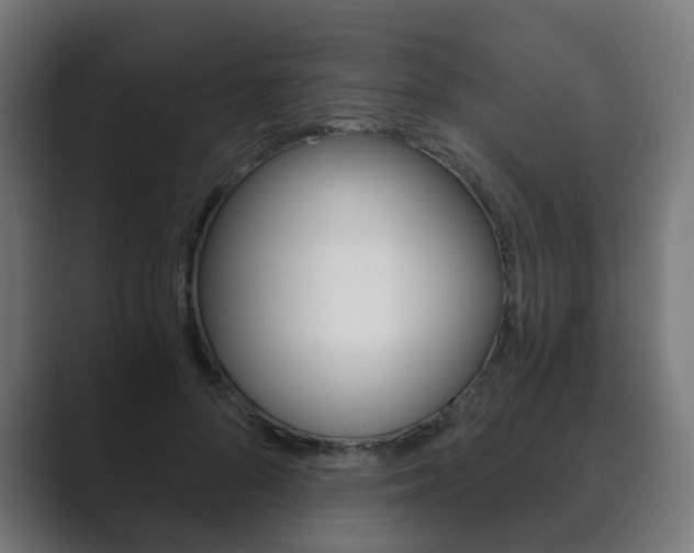 X0000089850696200706281021