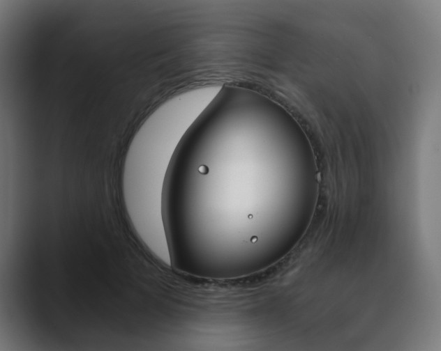 X0000089850697200706281021