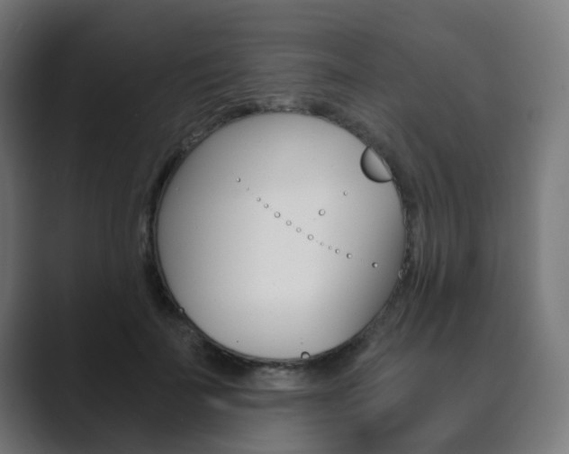 X0000089850699200706281021