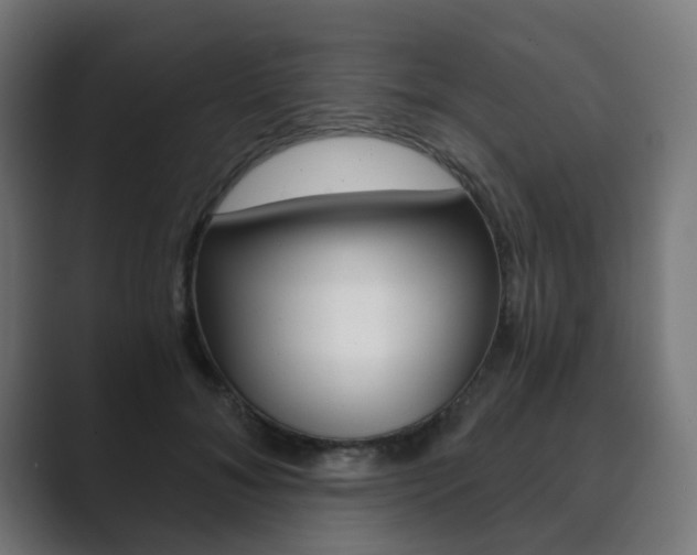 X0000089850700200706281021