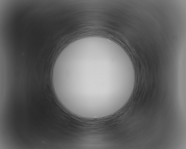 X0000089850701200706281021