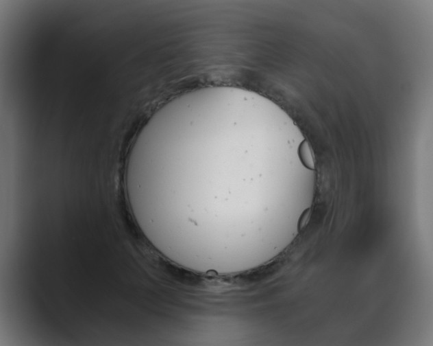 X0000089850703200706281021