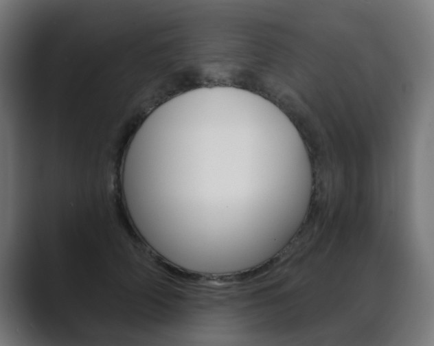 X0000089850706200706281021