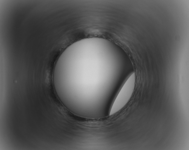 X0000089850708200706281021