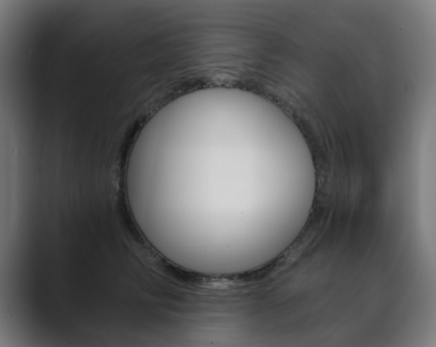 X0000089850710200706281021