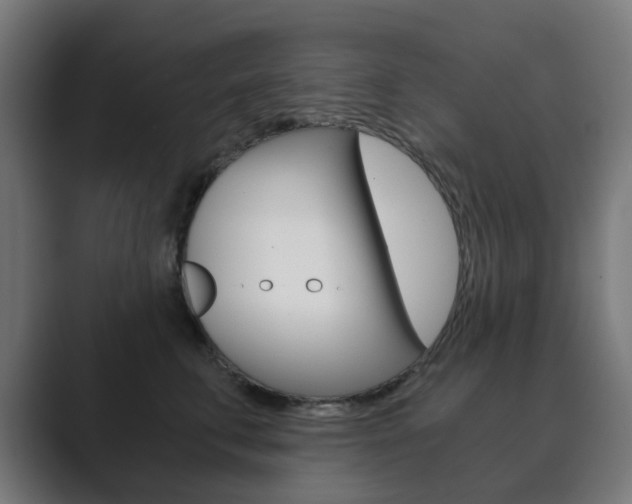 X0000089850711200706281021