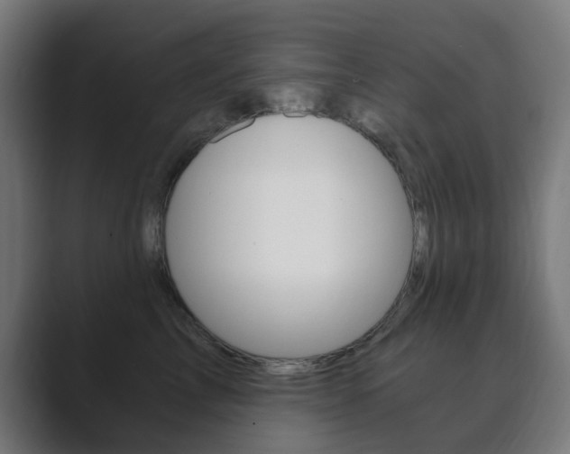 X0000089850713200706281021