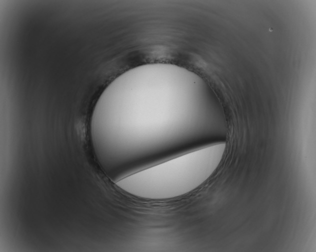 X0000089850715200706281021