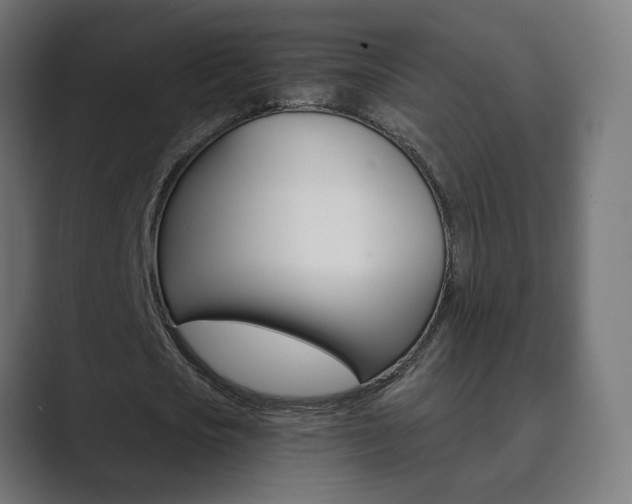 X0000089850721200706281020