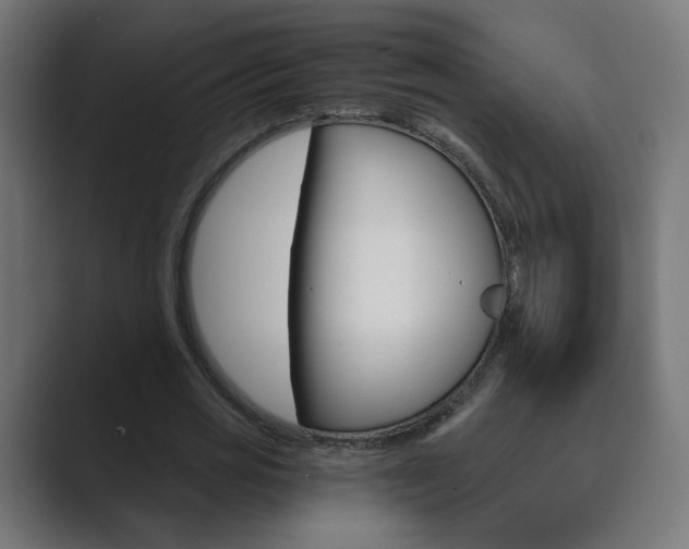 X0000089850725200706281020