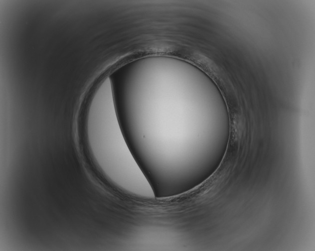 X0000089850726200706281020