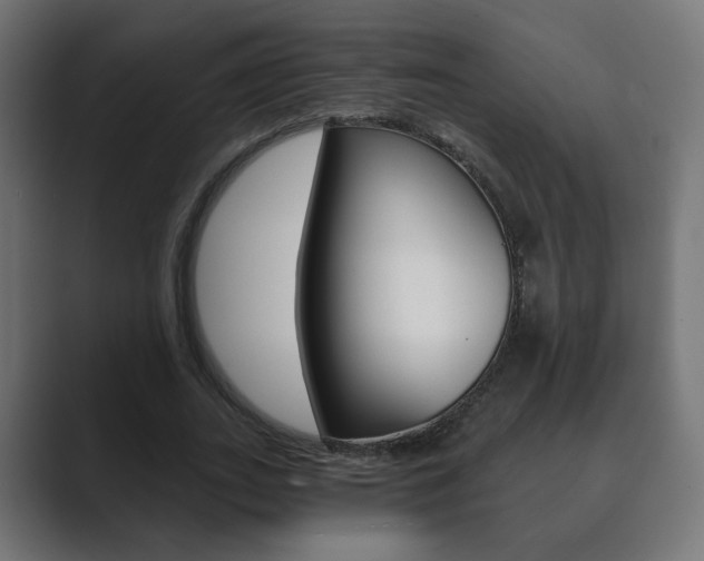 X0000089850727200706281020