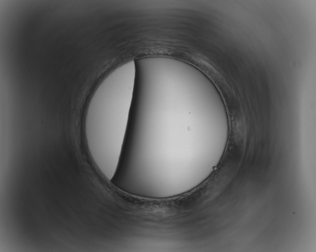 X0000089850729200706281020