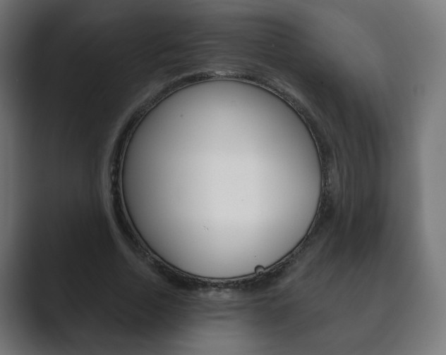 X0000089850730200706281020