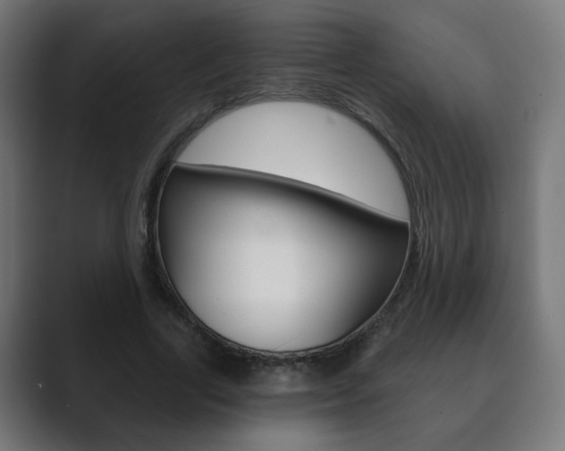 X0000089850731200706281020