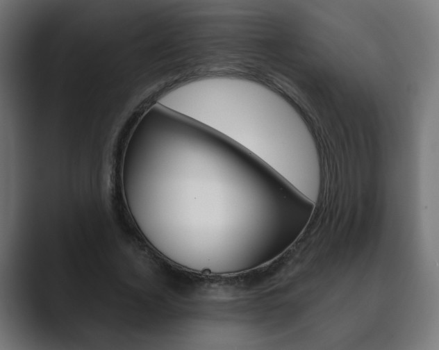 X0000089850732200706281020