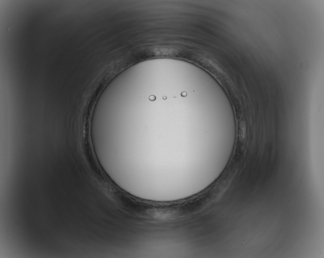 X0000089850733200706281020