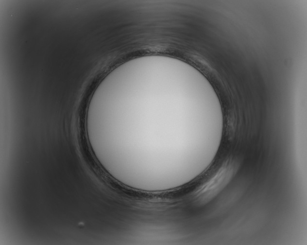 X0000089850734200706281020