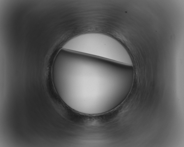 X0000089850735200706281020