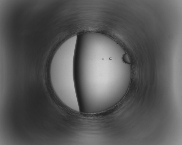 X0000089850738200706281020