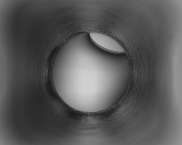 X0000089850739200706281020