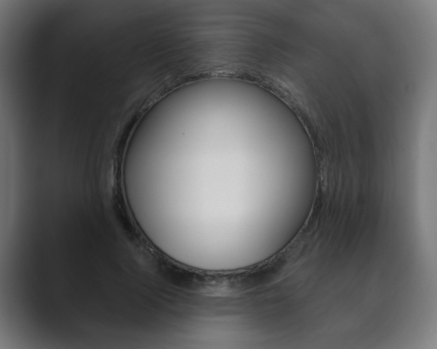 X0000089850740200706281020