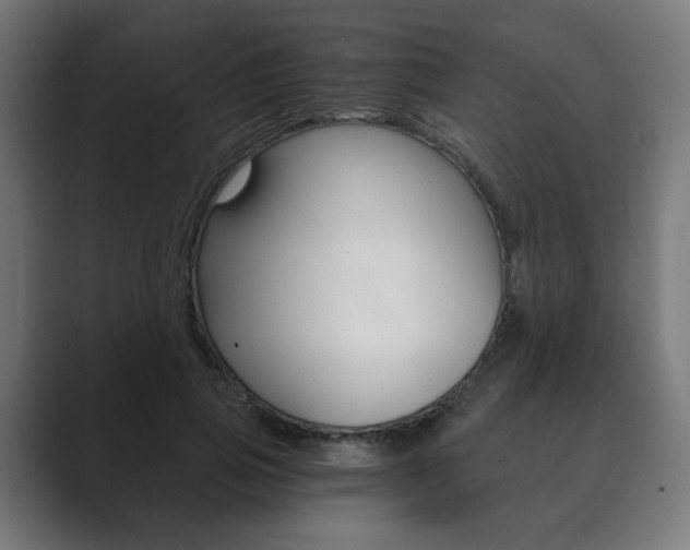 X0000089850741200706281020