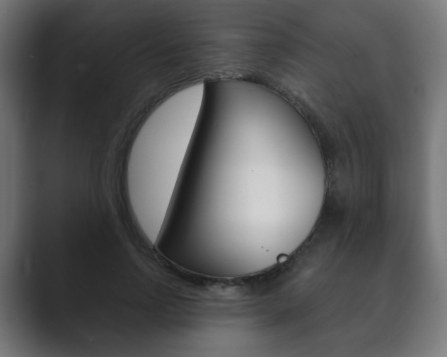 X0000089850742200706281020