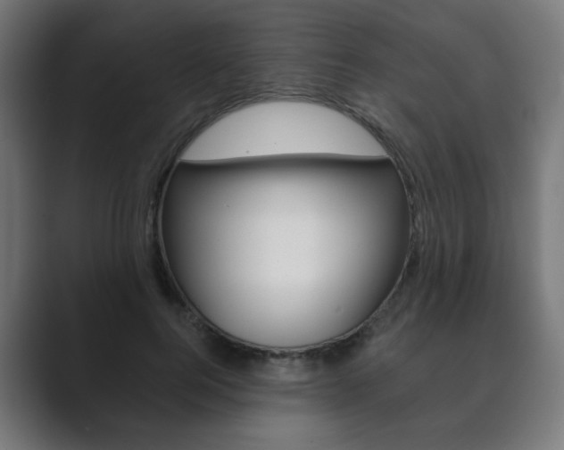 X0000089850744200706281020