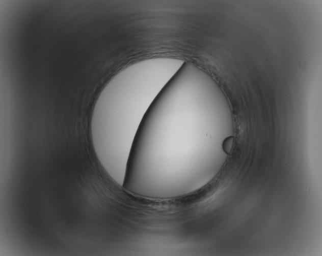 X0000089850745200706281020