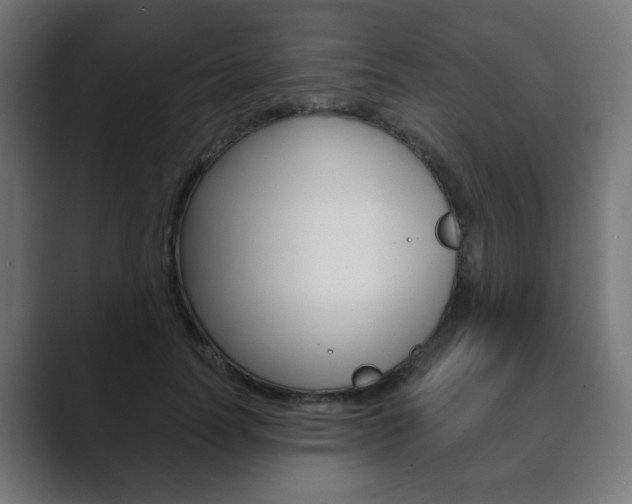 X0000089850746200706281020