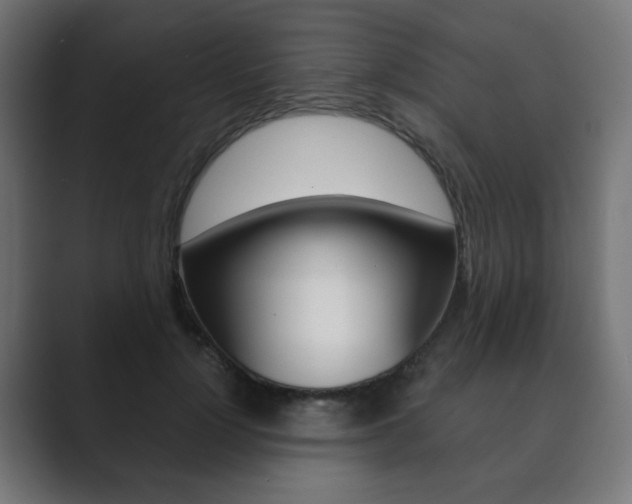 X0000089850748200706281020