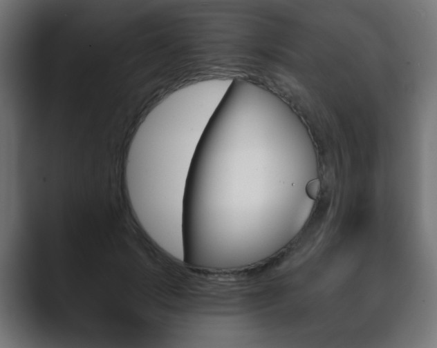 X0000089850749200706281020