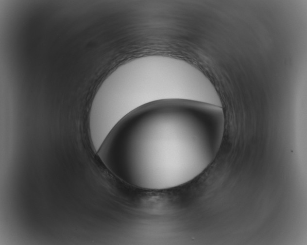 X0000089850750200706281020