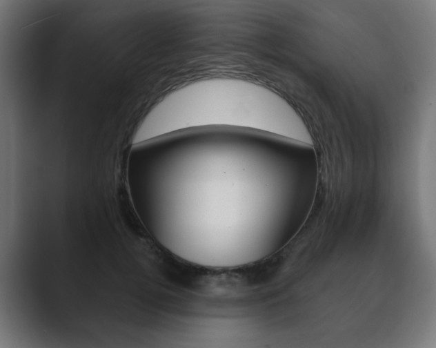 X0000089850752200706281020