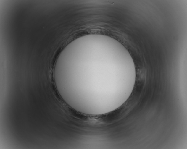 X0000089850753200706281020