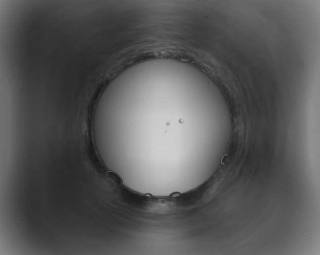 X0000089850754200706281020