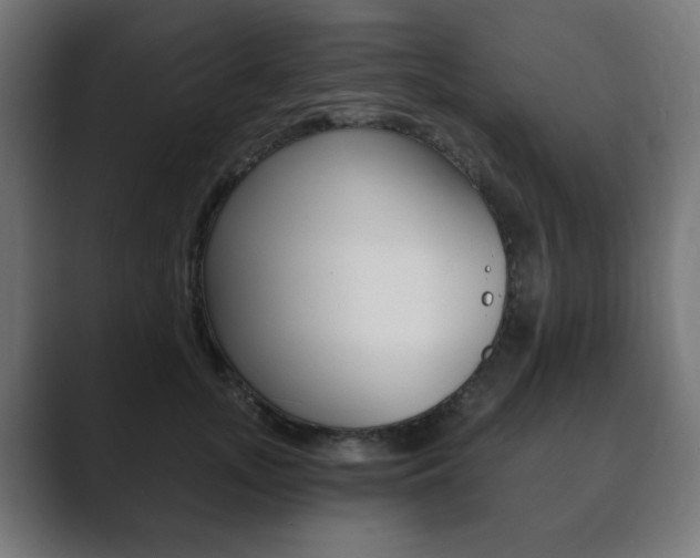 X0000089850755200706281020